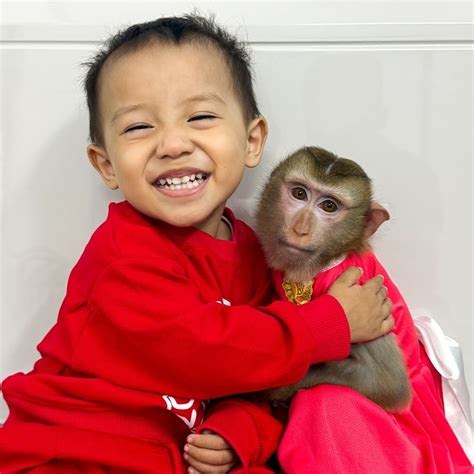 where does monkey kaka live|kaka and diem today.